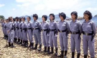 最新香港警匪片 最新香港警匪片