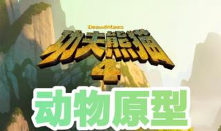 功夫熊猫原型是姑娘 功夫熊猫原型是姑娘